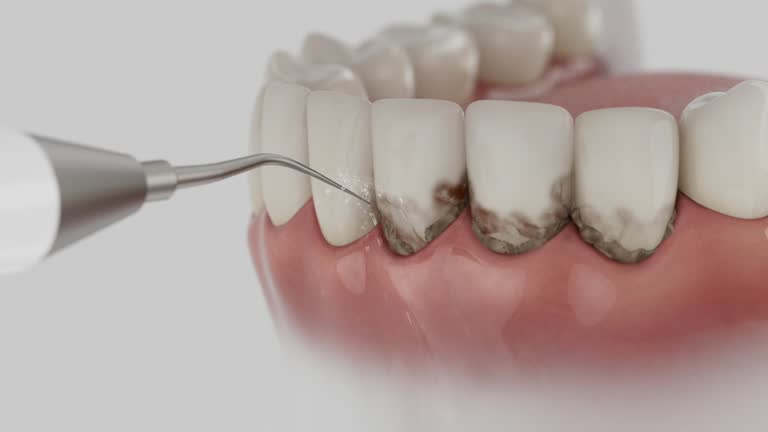 Reliable Dental contractor in New Milford, IL by Dentist Open Now